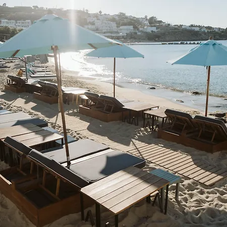 Argo פלאטיס יאלוס